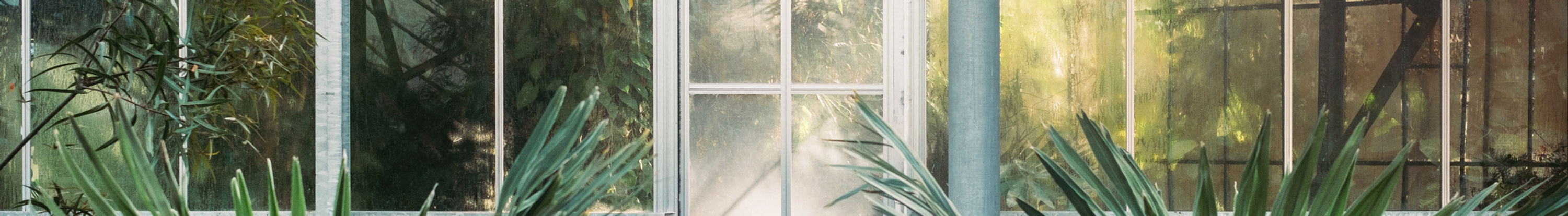 Ventanas y Puertas